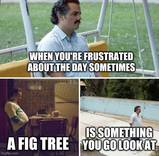 Sad Pablo Escobar | WHEN YOU'RE FRUSTRATED ABOUT THE DAY SOMETIMES; A FIG TREE; IS SOMETHING YOU GO LOOK AT | image tagged in memes,sad pablo escobar | made w/ Imgflip meme maker