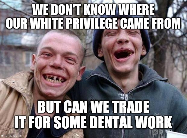 No teeth | WE DON'T KNOW WHERE OUR WHITE PRIVILEGE CAME FROM; BUT CAN WE TRADE IT FOR SOME DENTAL WORK | image tagged in no teeth | made w/ Imgflip meme maker