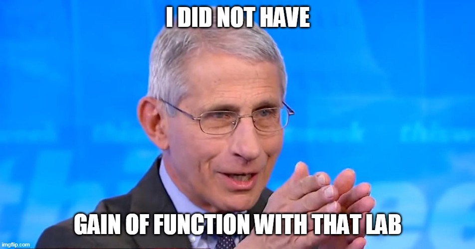 Fauci liar | I DID NOT HAVE; GAIN OF FUNCTION WITH THAT LAB | image tagged in dr fauci 2020,gain of function,fauci,covid | made w/ Imgflip meme maker