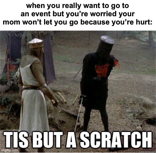 LOL | when you really want to go to an event but you’re worried your mom won’t let you go because you’re hurt: | image tagged in tis but a scratch | made w/ Imgflip meme maker