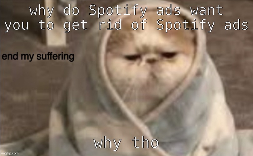 end my suffering | why do Spotify ads want you to get rid of Spotify ads; why tho | image tagged in end my suffering | made w/ Imgflip meme maker
