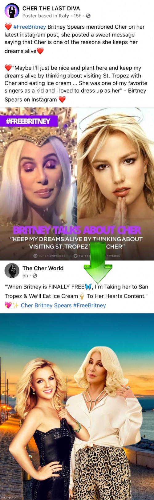 Britney shouts out Cher as an inspiration, and Cher promises to take her out for ice cream. Dreams do come true. | image tagged in cher free britney | made w/ Imgflip meme maker