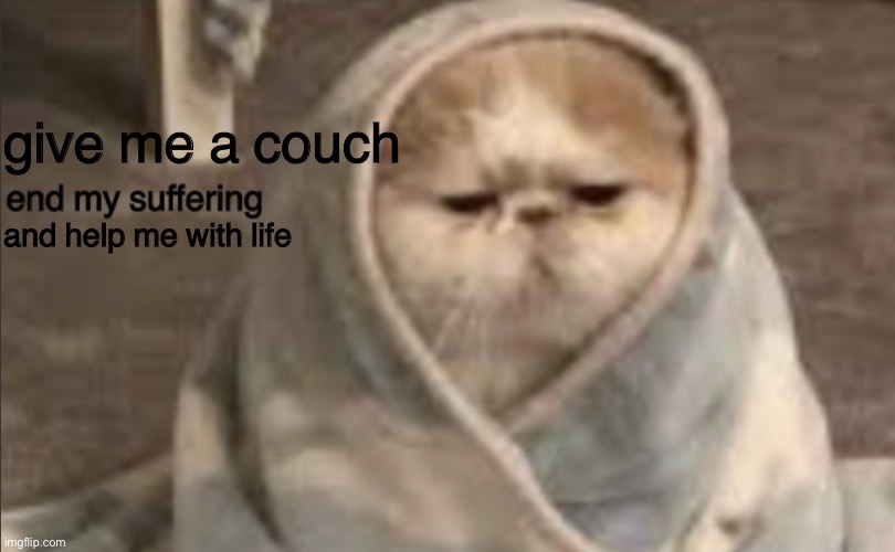 end my suffering | give me a couch; and help me with life | image tagged in end my suffering | made w/ Imgflip meme maker