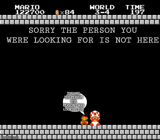 You are the person I am looking for | SORRY THE PERSON YOU WERE LOOKING FOR IS NOT HERE; YOU ARE THE PERSON THE PERSON I WAS LOOKING FOR | image tagged in thank you mario,funny | made w/ Imgflip meme maker