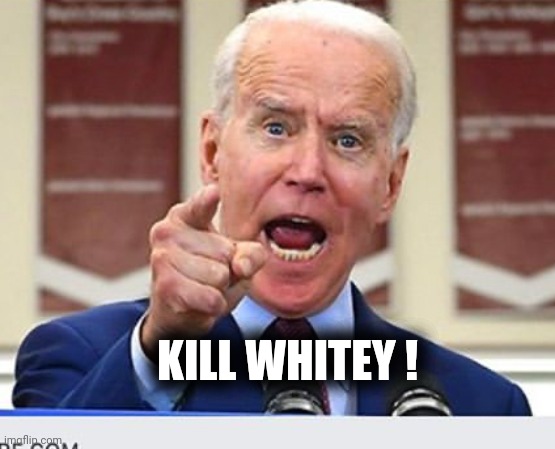 Joe Biden no malarkey | KILL WHITEY ! | image tagged in joe biden no malarkey | made w/ Imgflip meme maker