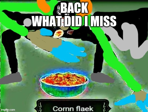 crls but cornn flaek | BACK
WHAT DID I MISS | image tagged in crls but cornn flaek | made w/ Imgflip meme maker