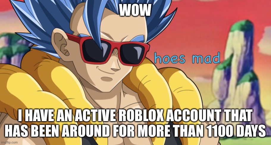 Over 4 years | WOW; I HAVE AN ACTIVE ROBLOX ACCOUNT THAT HAS BEEN AROUND FOR MORE THAN 1100 DAYS | image tagged in hoes mad gogeta | made w/ Imgflip meme maker