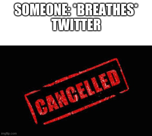 twitter why are you like this? | SOMEONE: *BREATHES*
TWITTER | image tagged in cancelled | made w/ Imgflip meme maker