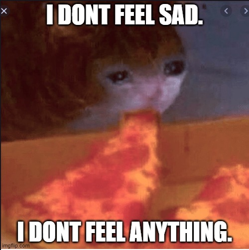 depressed cat eating pizza | I DONT FEEL SAD. I DONT FEEL ANYTHING. | image tagged in depressed cat eating pizza | made w/ Imgflip meme maker