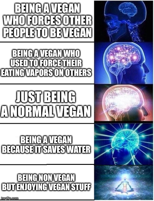 Expanding Brain 5 Panel | BEING A VEGAN WHO FORCES OTHER PEOPLE TO BE VEGAN; BEING A VEGAN WHO USED TO FORCE THEIR EATING VAPORS ON OTHERS; JUST BEING A NORMAL VEGAN; BEING A VEGAN BECAUSE IT SAVES WATER; BEING NON VEGAN BUT ENJOYING VEGAN STUFF | image tagged in expanding brain 5 panel,vegan,vegans | made w/ Imgflip meme maker