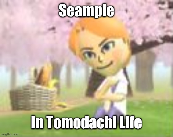 Seampie in Tomodachi Life | Seampie; In Tomodachi Life | image tagged in seampie in tomodachi life | made w/ Imgflip meme maker