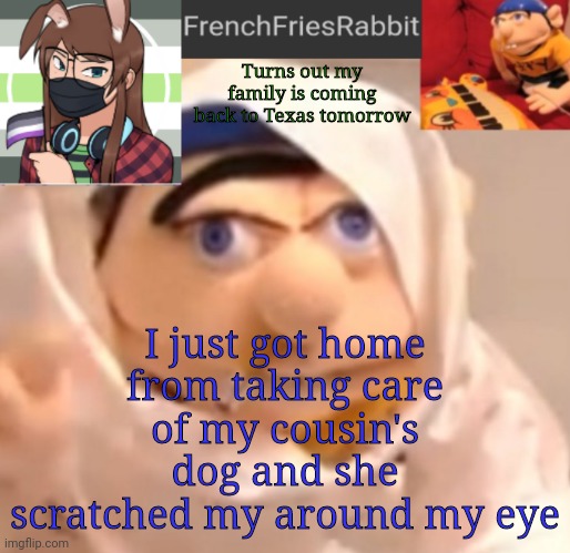 If I didn't have my eyes closed she probably would've actually scratched my eye ._. | I just got home from taking care of my cousin's dog and she scratched my around my eye; Turns out my family is coming back to Texas tomorrow | image tagged in frenchfriesrabbit updated jeffy template | made w/ Imgflip meme maker