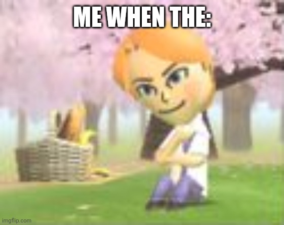 Seampie in Tomodachi Life | ME WHEN THE: | image tagged in seampie in tomodachi life | made w/ Imgflip meme maker