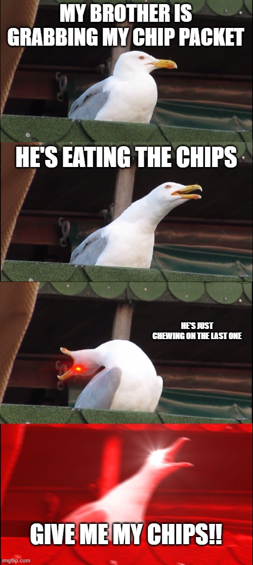 Inhaling Seagull Meme | MY BROTHER IS GRABBING MY CHIP PACKET; HE'S EATING THE CHIPS; HE'S JUST CHEWING ON THE LAST ONE; GIVE ME MY CHIPS!! | image tagged in memes,inhaling seagull | made w/ Imgflip meme maker