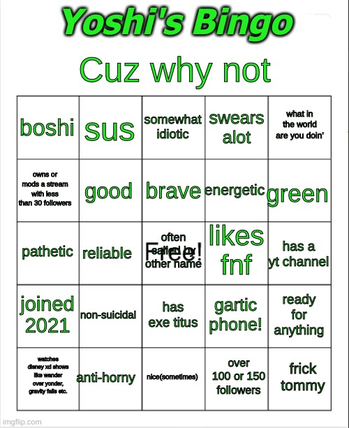 Blank Bingo | Cuz why not; Yoshi's Bingo; somewhat idiotic; sus; what in the world are you doin'; boshi; swears alot; brave; owns or mods a stream with less than 30 followers; green; energetic; good; likes fnf; often called by other name; pathetic; has a yt channel; reliable; joined 2021; non-suicidal; ready for anything; gartic phone! has exe titus; anti-horny; frick tommy; watches disney xd shows like wander over yonder, gravity falls etc. nice(sometimes); over 100 or 150 followers | image tagged in blank bingo | made w/ Imgflip meme maker
