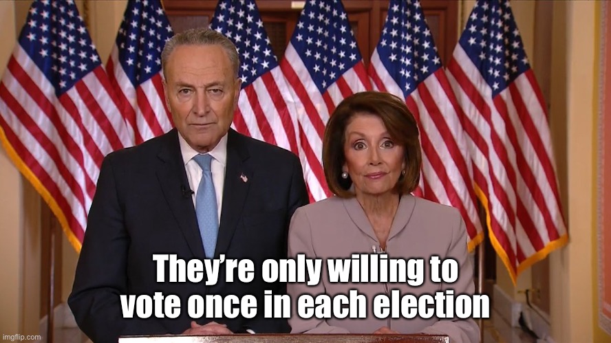 Chuck and Nancy | They’re only willing to vote once in each election | image tagged in chuck and nancy | made w/ Imgflip meme maker