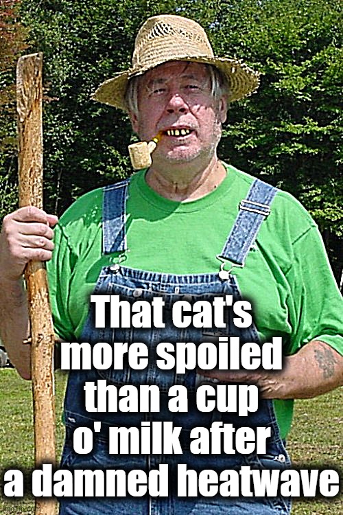 Redneck farmer | That cat's more spoiled than a cup o' milk after a damned heatwave | image tagged in redneck farmer | made w/ Imgflip meme maker