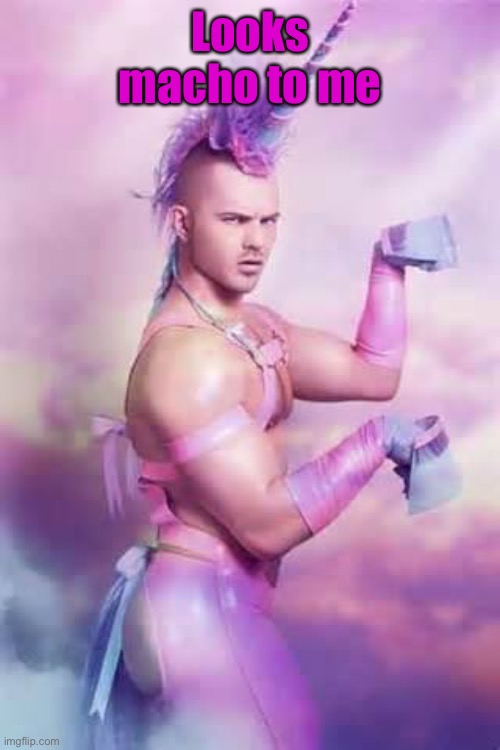 Gay Unicorn | Looks macho to me | image tagged in gay unicorn | made w/ Imgflip meme maker