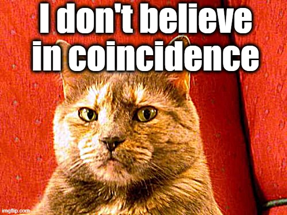 Suspicious Cat Meme | I don't believe in coincidence | image tagged in memes,suspicious cat | made w/ Imgflip meme maker