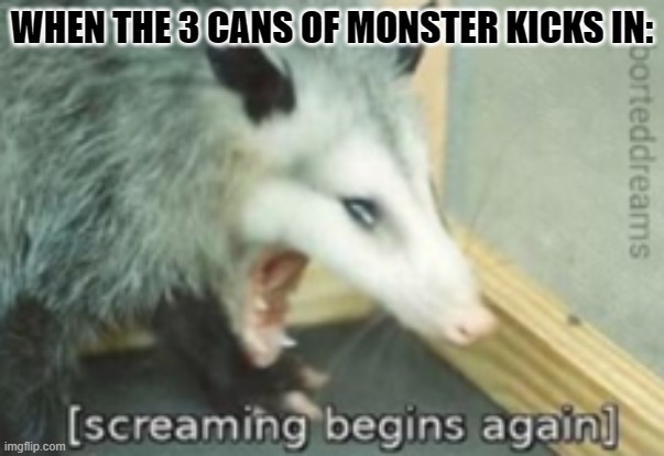 oki byeeee i'm off 2 participate in legally beating ppl up | WHEN THE 3 CANS OF MONSTER KICKS IN: | image tagged in screaming begins again | made w/ Imgflip meme maker