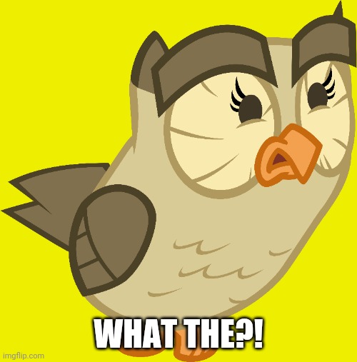 WHAT THE?! | made w/ Imgflip meme maker
