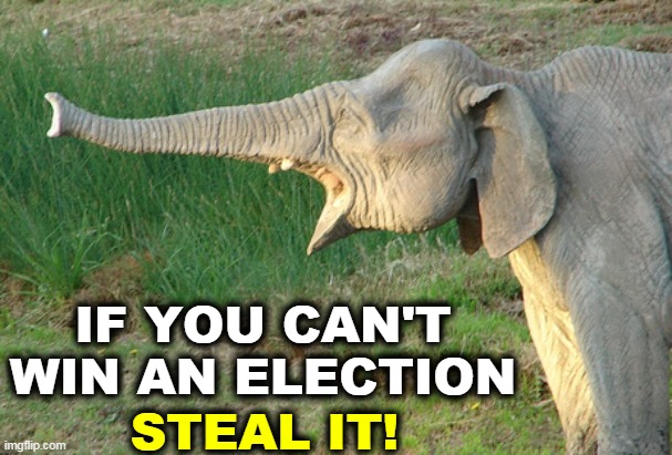 The GOP mantra | IF YOU CAN'T WIN AN ELECTION; STEAL IT! | image tagged in elephant,republican,gop,steal,elections | made w/ Imgflip meme maker