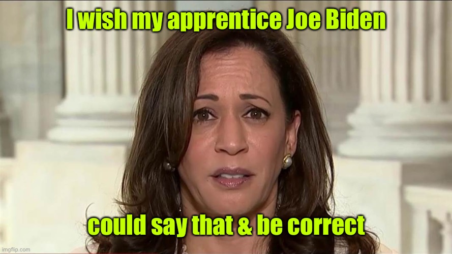 kamala harris | I wish my apprentice Joe Biden could say that & be correct | image tagged in kamala harris | made w/ Imgflip meme maker