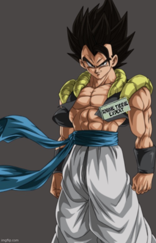 anime tiddies expert Gogeta | image tagged in anime tiddies expert gogeta | made w/ Imgflip meme maker