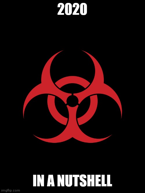 Biohazard | 2020; IN A NUTSHELL | image tagged in biohazard | made w/ Imgflip meme maker