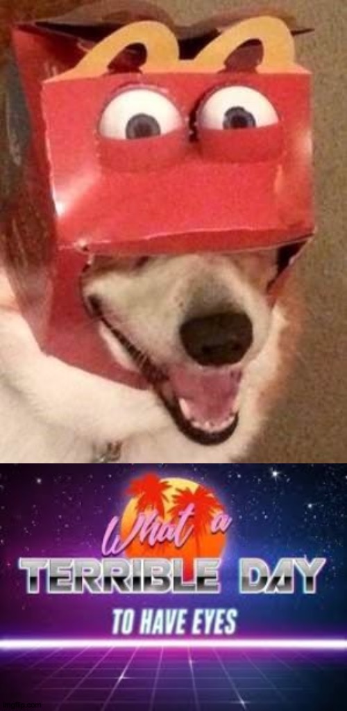 help this poor doggo | image tagged in what a terrible day to have eyes | made w/ Imgflip meme maker