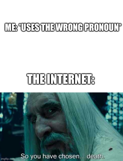 Ka | ME: *USES THE WRONG PRONOUN*; THE INTERNET: | image tagged in blank white template,so you have chosen death | made w/ Imgflip meme maker