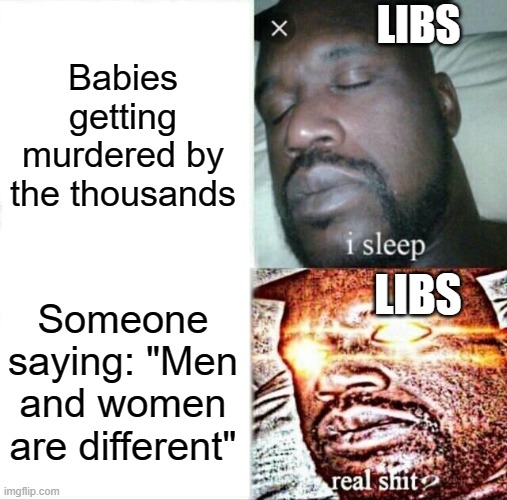 Sleeping Shaq Meme | LIBS; Babies getting murdered by the thousands; LIBS; Someone saying: "Men and women are different" | image tagged in memes,sleeping shaq,liberals,abortion,murder,men and women | made w/ Imgflip meme maker