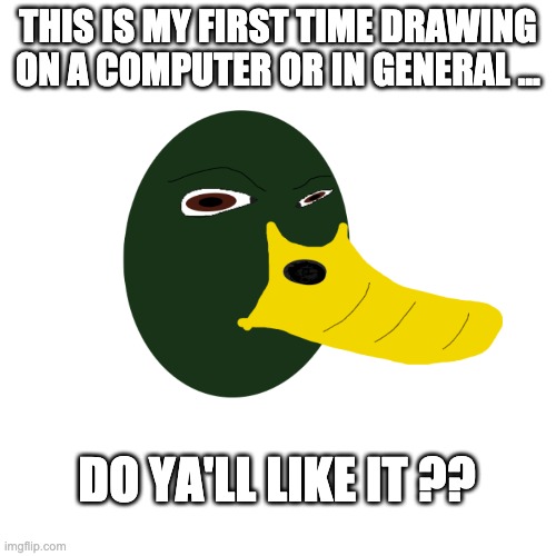 First time drawing | THIS IS MY FIRST TIME DRAWING ON A COMPUTER OR IN GENERAL ... DO YA'LL LIKE IT ?? | image tagged in duck,mallard,drawing on mac | made w/ Imgflip meme maker