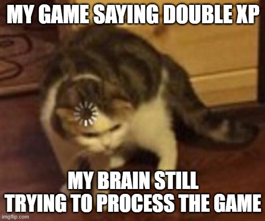 Loading cat | MY GAME SAYING DOUBLE XP; MY BRAIN STILL TRYING TO PROCESS THE GAME | image tagged in loading cat | made w/ Imgflip meme maker