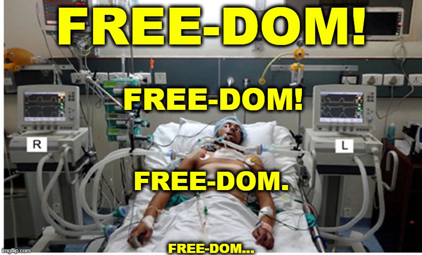 He could have made better choices. Individual rights mean nothing when you're no longer an individual. | FREE-DOM! FREE-DOM! FREE-DOM. FREE-DOM... | image tagged in covid-19,anti vax,dying | made w/ Imgflip meme maker
