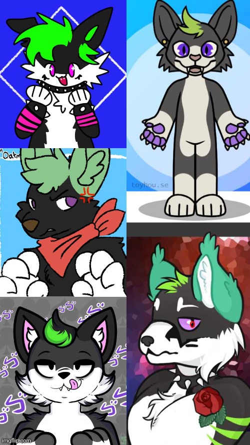 I used 5 different picrews to resemble my fursona. | image tagged in fursona concept,picrew | made w/ Imgflip meme maker