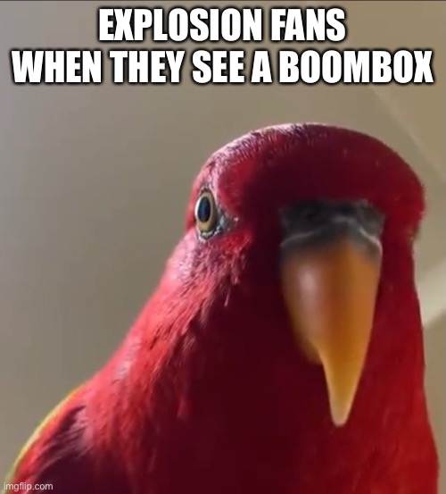 Explosion fans |  EXPLOSION FANS WHEN THEY SEE A BOOMBOX | image tagged in explosion,birds,fun | made w/ Imgflip meme maker