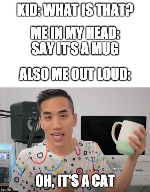 Looks more like a dragon to me |  KID: WHAT IS THAT? ME IN MY HEAD: SAY IT'S A MUG; ALSO ME OUT LOUD:; OH, IT'S A CAT | image tagged in memes | made w/ Imgflip meme maker