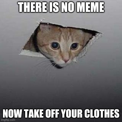 Ceiling Cat Meme | THERE IS NO MEME; NOW TAKE OFF YOUR CLOTHES | image tagged in memes,ceiling cat | made w/ Imgflip meme maker