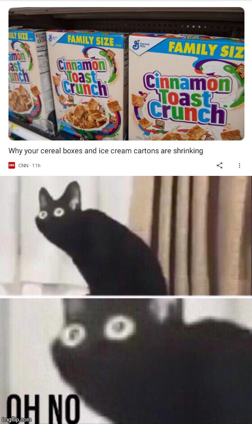 image tagged in oh no cat | made w/ Imgflip meme maker