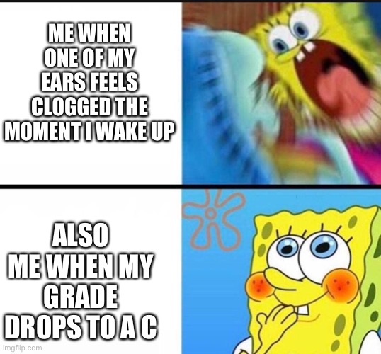 -comment-if-relatable- |  ME WHEN ONE OF MY EARS FEELS CLOGGED THE MOMENT I WAKE UP; ALSO ME WHEN MY GRADE DROPS TO A C | image tagged in spongebob yelling,memes,relatable,spongebob,life,grades | made w/ Imgflip meme maker