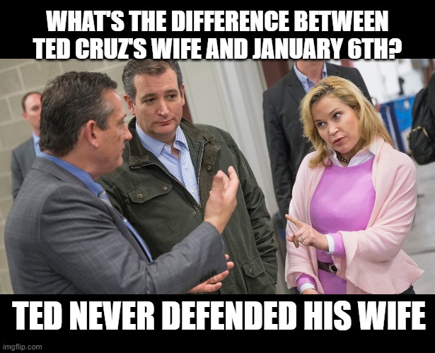 WHAT'S THE DIFFERENCE BETWEEN TED CRUZ'S WIFE AND JANUARY 6TH? TED NEVER DEFENDED HIS WIFE | made w/ Imgflip meme maker