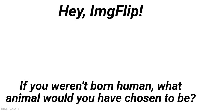 They say humans are the worst animals, I'm just saying. | Hey, ImgFlip! If you weren't born human, what animal would you have chosen to be? | image tagged in starter pack,question,answer,polls,imgflip,memes | made w/ Imgflip meme maker