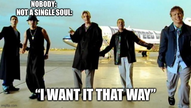I want it that way backstreet boys | NOBODY:
 NOT A SINGLE SOUL: “I WANT IT THAT WAY” | image tagged in i want it that way backstreet boys | made w/ Imgflip meme maker