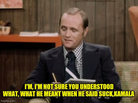 Bob Newhart | I'M, I'M NOT SURE YOU UNDERSTOOD WHAT, WHAT HE MEANT WHEN HE SAID SUCK,KAMALA | image tagged in bob newhart | made w/ Imgflip meme maker