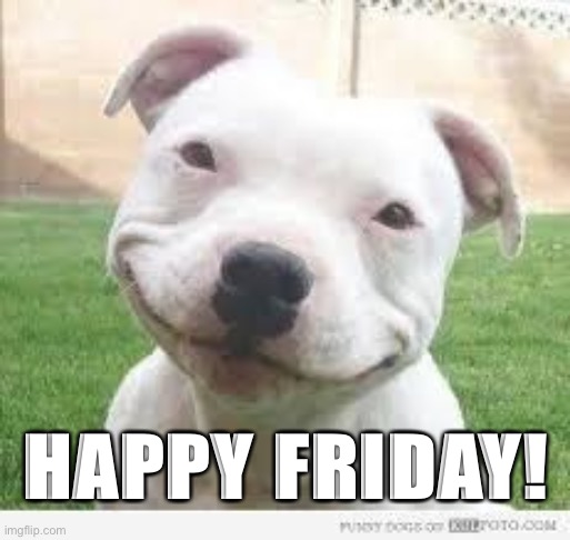 Happy Friday Puppy | HAPPY FRIDAY! | image tagged in happy friday puppy | made w/ Imgflip meme maker