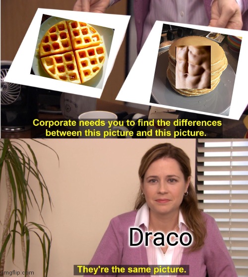 They're The Same Picture | Draco | image tagged in memes,they're the same picture | made w/ Imgflip meme maker
