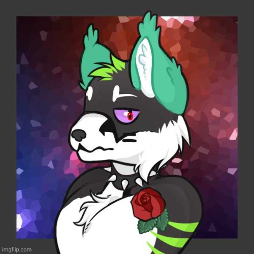 Upgraded my fursona's look! Still figuring out his design though. (made  with @felidaze_'s Warrior Cat Creator on Picrew) - Imgflip