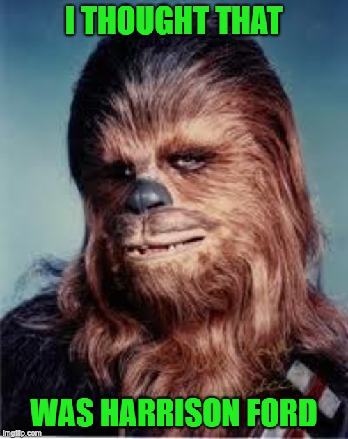 chewbacca | I THOUGHT THAT WAS HARRISON FORD | image tagged in chewbacca | made w/ Imgflip meme maker