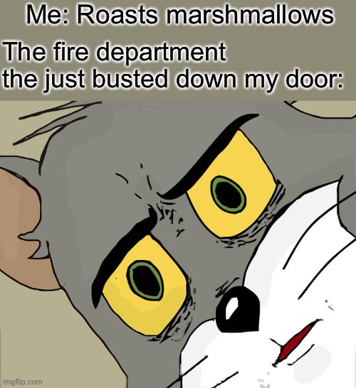 Unsettled Tom Meme | Me: Roasts marshmallows; The fire department the just busted down my door: | image tagged in memes,unsettled tom | made w/ Imgflip meme maker